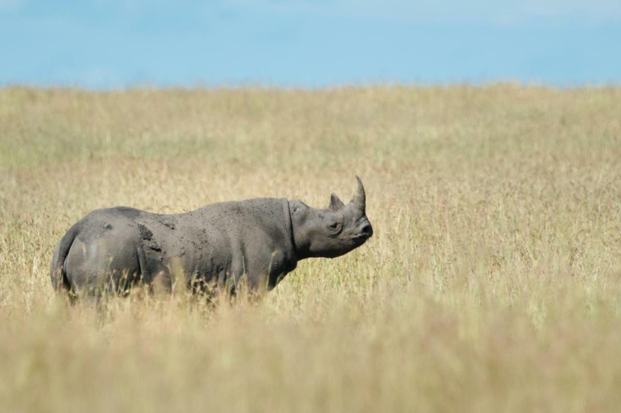 Taasa Lodge Serengeti Esterno foto
